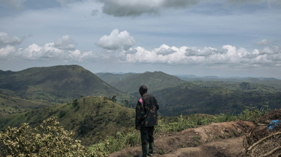 M23 rebels, DRC begin two-week 'humanitarian truce' 