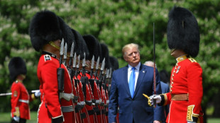 Flattery and pragmatism: UK plan to stay on Trump's good side