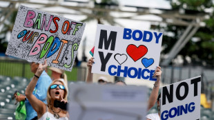 Florida ballot initiative to extend abortion rights fails: US media