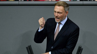 Lindner verteidigt Zustimmung zu umstrittenen Unions-Anträgen zur Migration