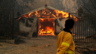 Chili: 22 morts dans des incendies de forêts, selon un nouveau bilan