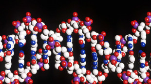 Dna e computer quantistici insieme per la medicina del futuro