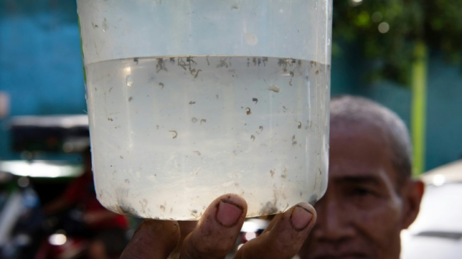 Une prime par moustique: à Manille, une initiative locale pour lutter contre l'épidémie de dengue