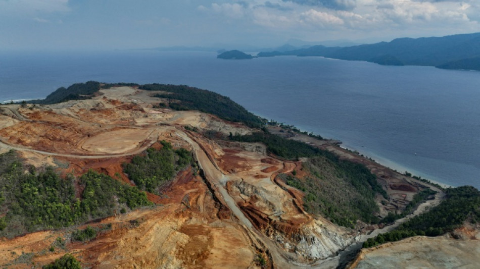 Indonesia deforestation rises for third year running: NGO