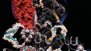 Björk annuncia Cornucopia, al cinema dal 7 maggio in 25 Paesi