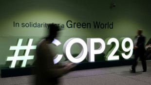 Países ricos oferecem US$ 250 bi/ano na COP29, valor insuficiente para nações em desenvolvimento