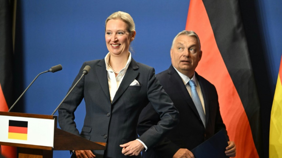 Weidel nennt Ungarn "großes Vorbild" und will Orbans Weg folgen