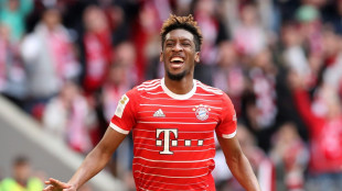 Gnabry und Coman erlösen schwache Bayern