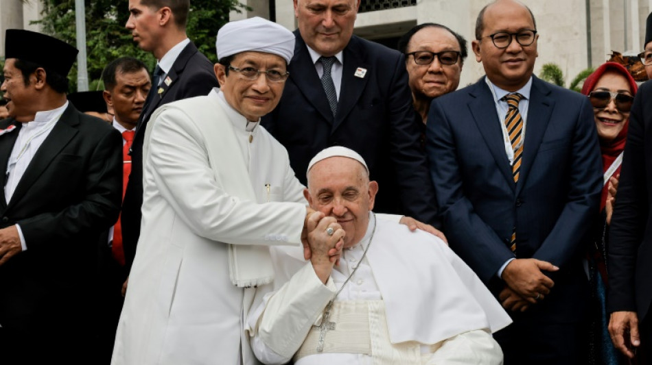 Conflits, environnement: le pape et le grand imam de Jakarta signent un appel conjoint