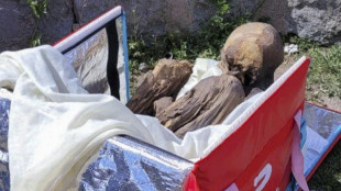 Peru police find pre-Hispanic mummy in ex-delivery man's bag