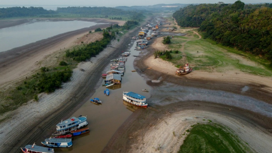 Le changement climatique derrière la sécheresse dévastatrice de l'Amazonie en 2023, selon une étude