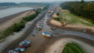 Le changement climatique derrière la sécheresse dévastatrice de l'Amazonie en 2023, selon une étude