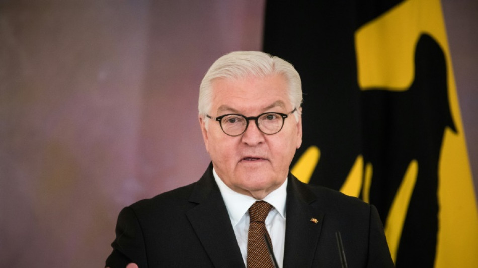 Popular incumbent Steinmeier eyes new term as German president