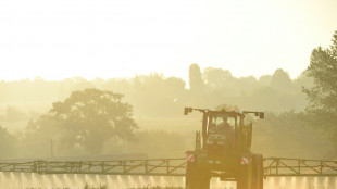 EU-Länder stimmen erneut über Glyphosat-Zulassung ab