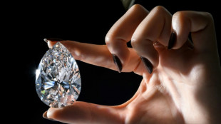 'The Rock' diamond dazzles in Geneva