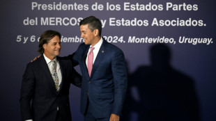 El acuerdo UE-Mercosur beneficiará "principalmente" a Europa, asegura el presidente de Paraguay a AFP 