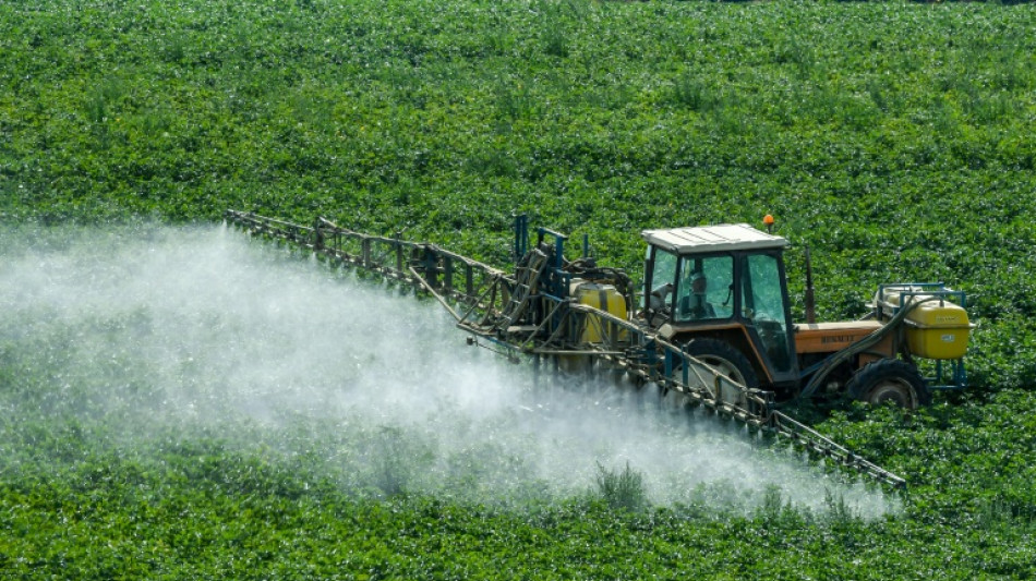 Los pesticidas causan daño considerable a la biodiversidad, advierte un estudio