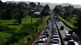 Nouvelle "nuit calme" en Martinique, les négociations contre la vie chère au point mort