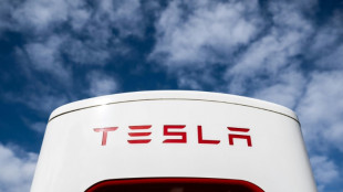 Entregas da Tesla caem no primeiro trimestre de 2024