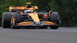 GP d'Ungheria, con Norris e Piastri McLaren domina la FP3