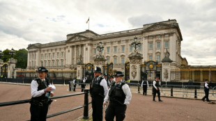 Arrestation d'un homme ayant lancé des munitions présumées dans le parc de Buckingham Palace