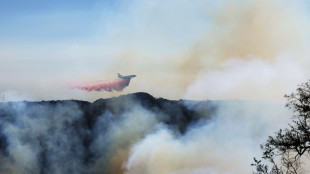 Incendio Palisades si allarga, estese evacuazioni