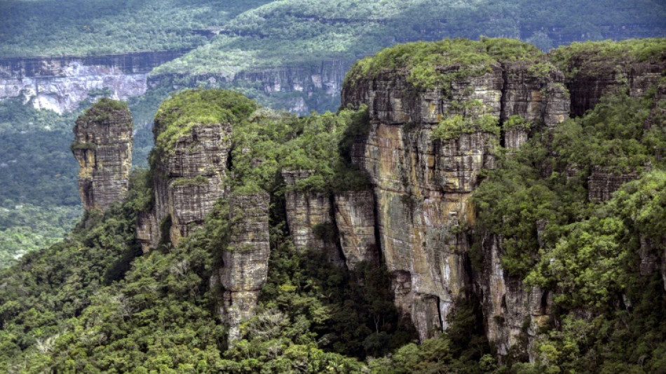 Un operativo contra la deforestación en Colombia deja un muerto y un militar secuestrado