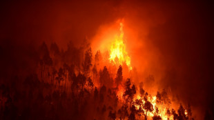 La CEDH se penche sur "l'inaction climatique" des Etats