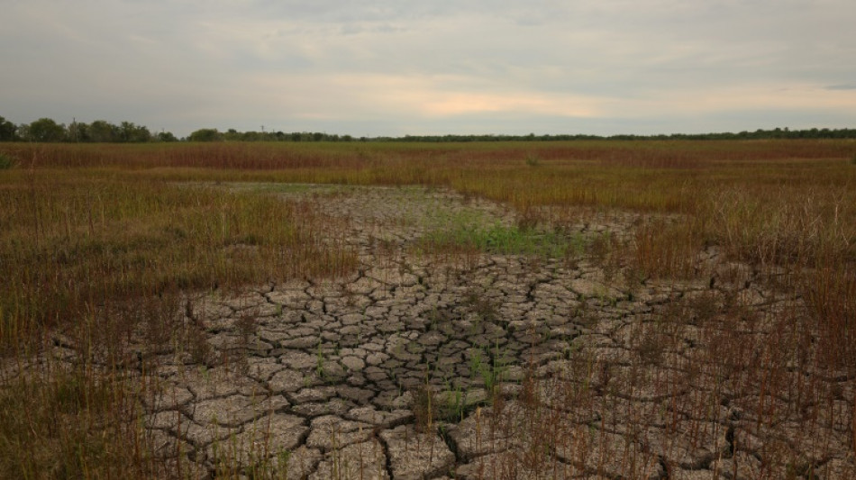 Disasters cause $3.8 trillion in crop losses over 30 years: FAO