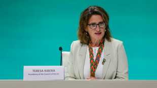 COP28 registra alguns avanços e divisões persistentes sobre combustíveis fósseis