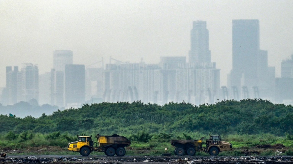 Singapore races to save 'Garbage of Eden'