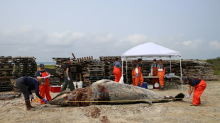 On US coast, wind power foes embrace 'Save the Whales' argument