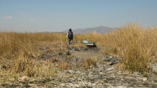 High in the Andes, Lake Titicaca's water levels fall to historic lows