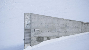 Palestinian seeds join Arctic 'doomsday vault'