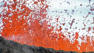 Hawái moviliza a los guardias nacionales por la erupción del Mauna Loa
