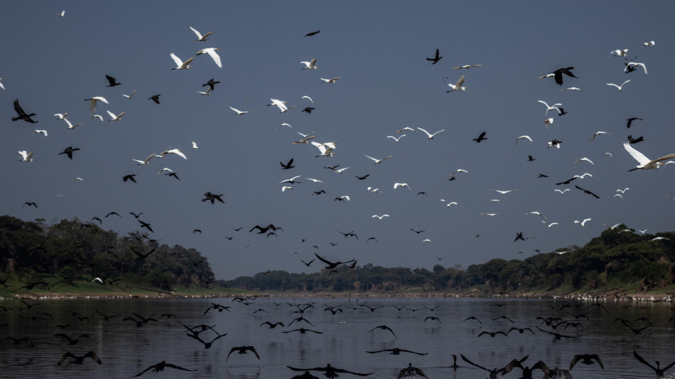 Brasile, verso nuovo no dell'Ibama alle trivelle in Amazzonia