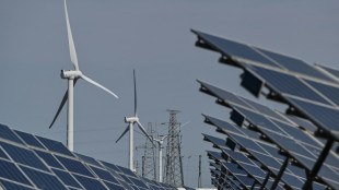 China to double wind, solar energy capacity by 2025