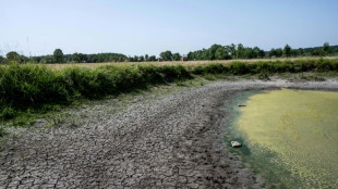 Sévères restrictions d'eau et risques d'incendies, la sécheresse s'installe sur la France