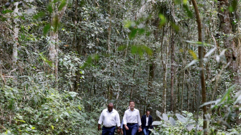 En Papouasie, Macron lance un nouveau partenariat pour protéger la forêt