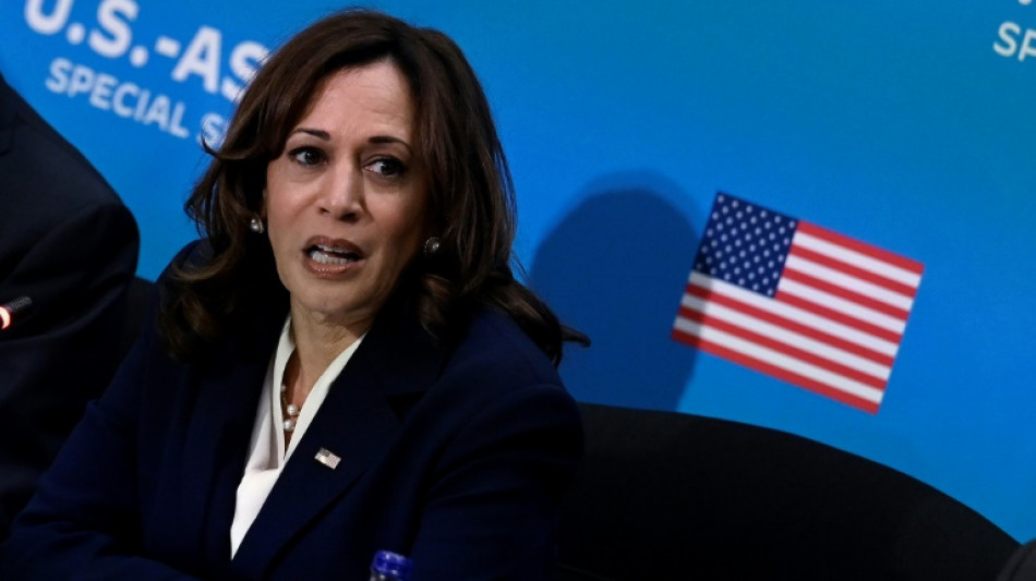 Kamala Harris leads high-level US team to meet new UAE leader