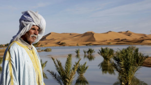 Rare Sahara floods bring Morocco's dried-up south back to life