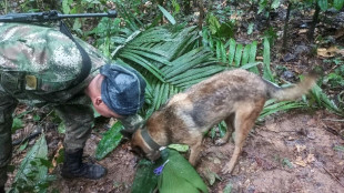 Vier Kinder nach Flugzeugabsturz in Kolumbiens Regenwald lebend gefunden