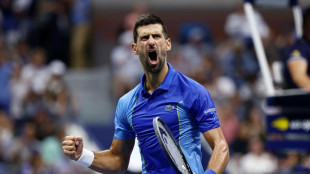 24. Grand-Slam-Titel: Djokovic gewinnt die US Open