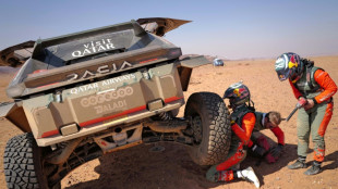 Schareina y Al Rahji se meten en la pelea por el podio en el Rally Dakar