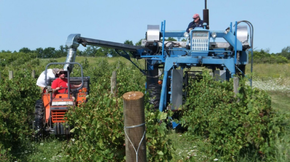 Herbicide under US scrutiny over potential Parkinson's link