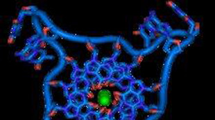 Test Dna alla nascita scova molte più malattie di esami standard