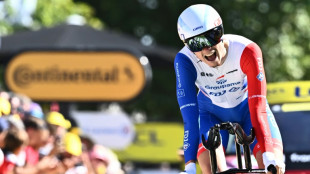 Tour de France: Gaudu, la performance à infusion lente