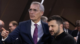 Zelensky ai partner, 'rafforzare la difesa contro il terrorismo'