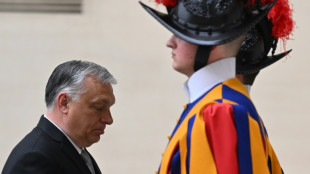 El papa Francisco recibe al primer ministro húngaro, Viktor Orban