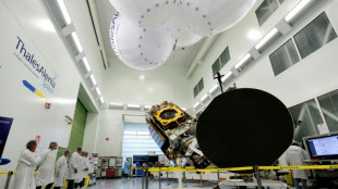 European satellite firms eye tie-up to create 'global champion'